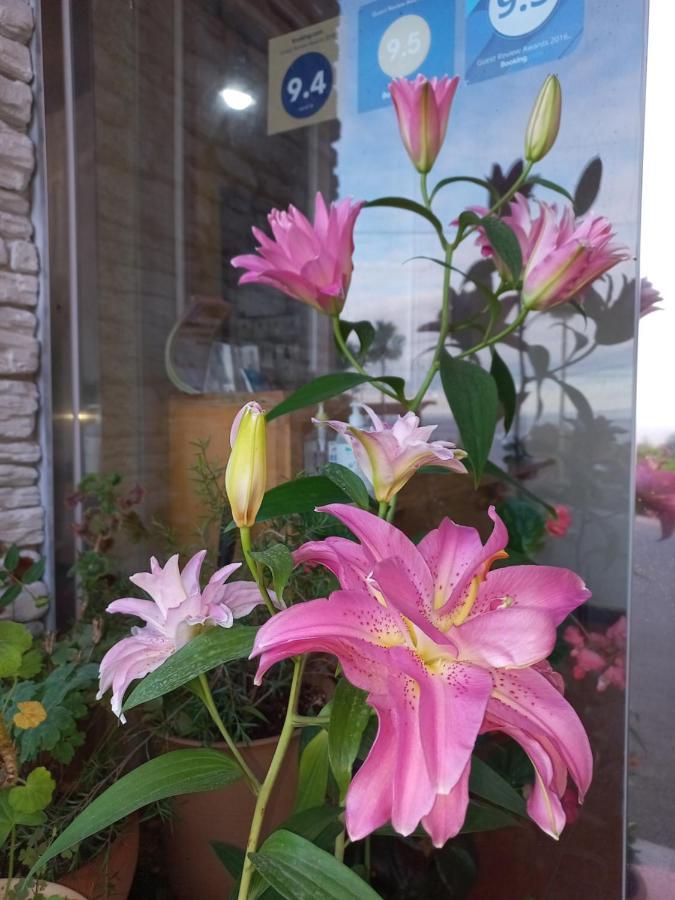 Good Day Pension ซอกวีโพ ภายนอก รูปภาพ